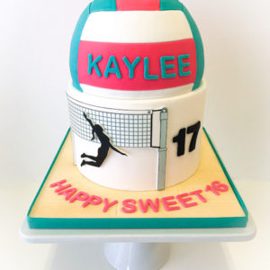 Volleyball themed sweet 16 birthday