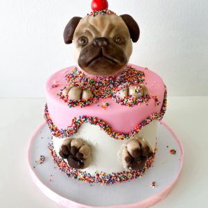 Chocolate pug popping out of a cake