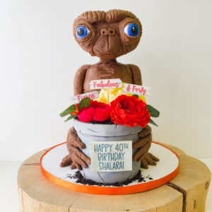 2ft. tall ET cake & flower pot