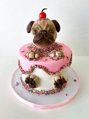 Chocolate pug popping out of a cake